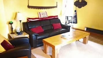 TV, fireplace, DVD player, books