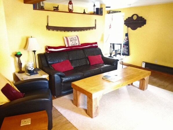 TV, fireplace, DVD player, books