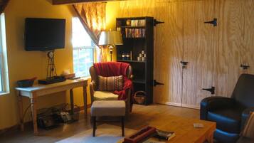 Télévision, cheminée, lecteur de DVD, livres