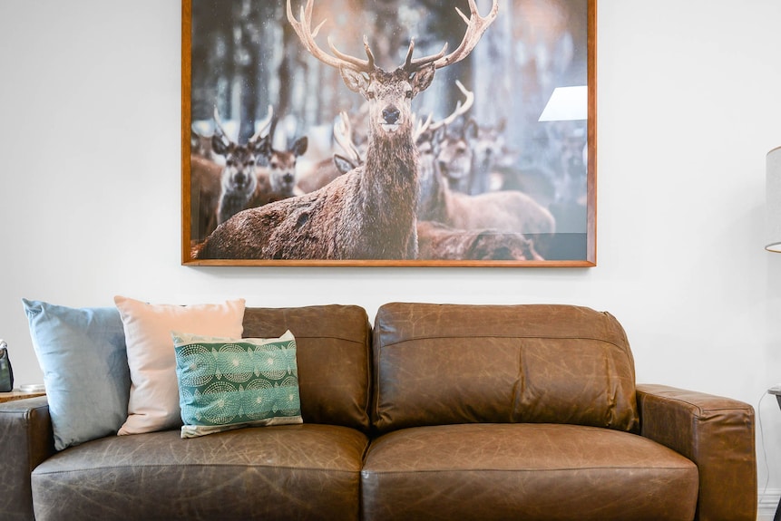 Carlton Terrace Pet Friendly - Brunswick