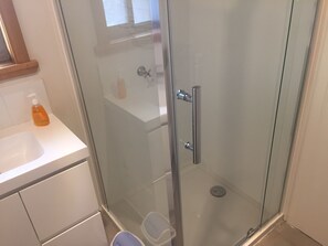 Shower, hair dryer, towels, soap