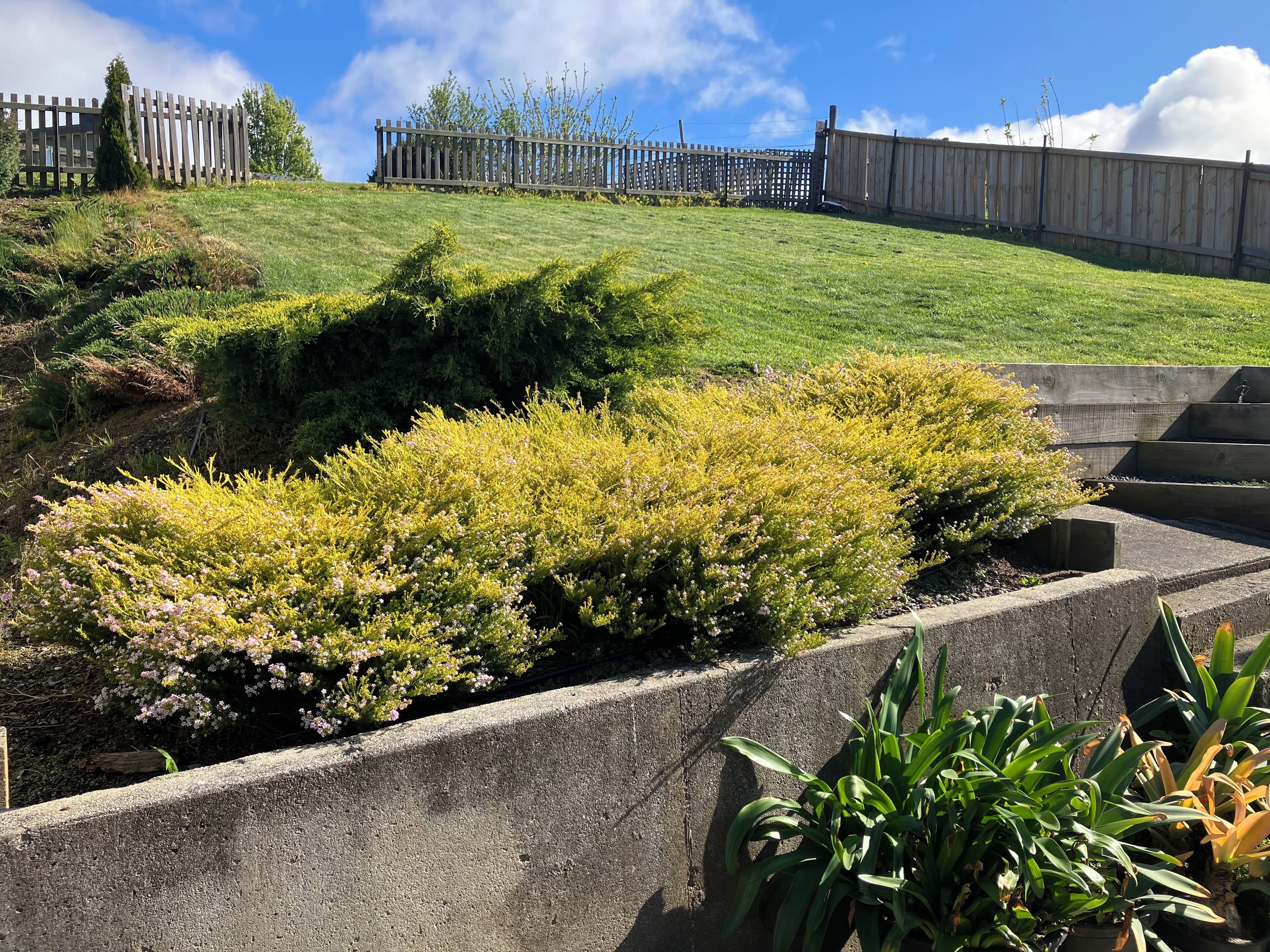 Overnatningsstedets område