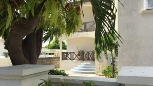 A courtyard with a large tree, a white building with a balcony, and steps leading to the entrance.