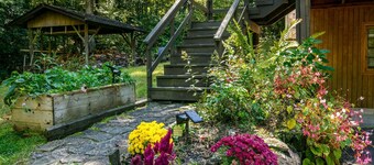 Dupont Forest Trailside Cabin