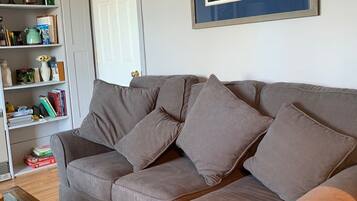 Smart-tv, een open haard, videospelletjes en boeken