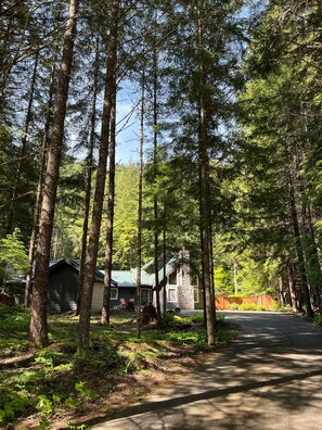Esterni