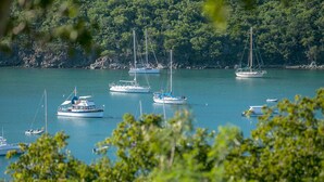 Ein Yachthafen mit mehreren Segel- und Motoryachten.