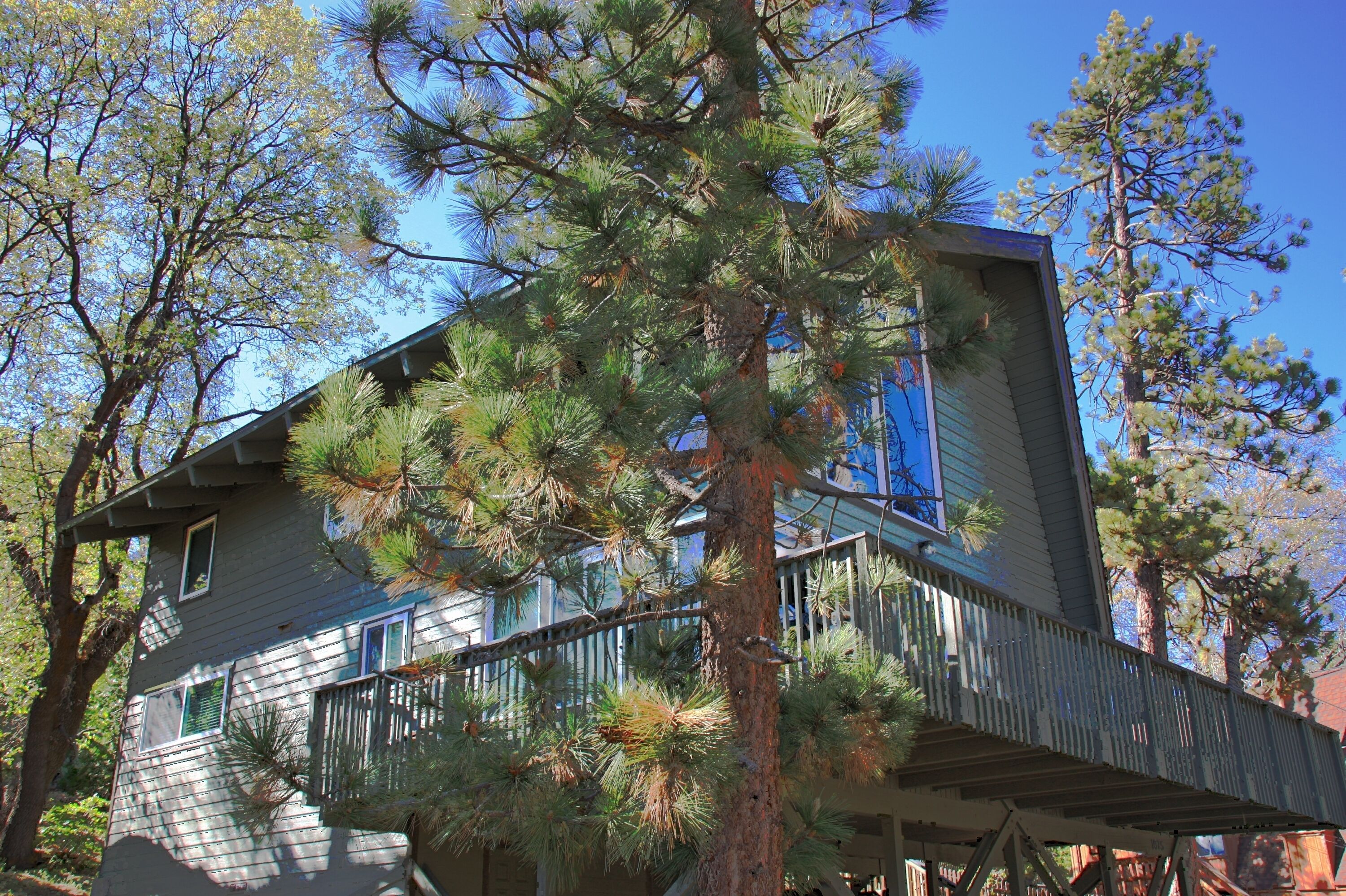 Quiet Fawnskin Cabin - Onsite sledding hill for families