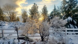 Paisaje nevado con cerca blanca, árboles y un banco.