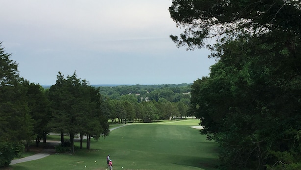Campo de golf con un sendero despejado, árboles y una vista distante de casas.