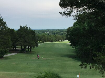 Quiet/Luxury Townhouse on Golf Course!