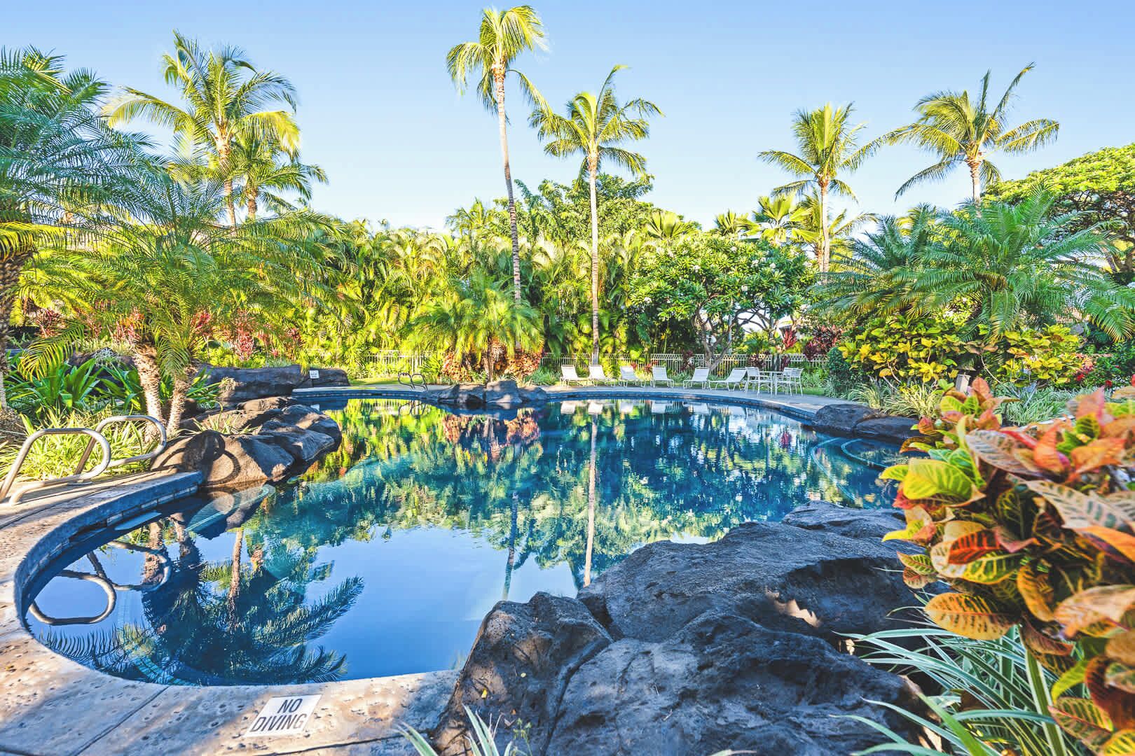A clear swimming pool surrounded by rocks and tropical vegetation.