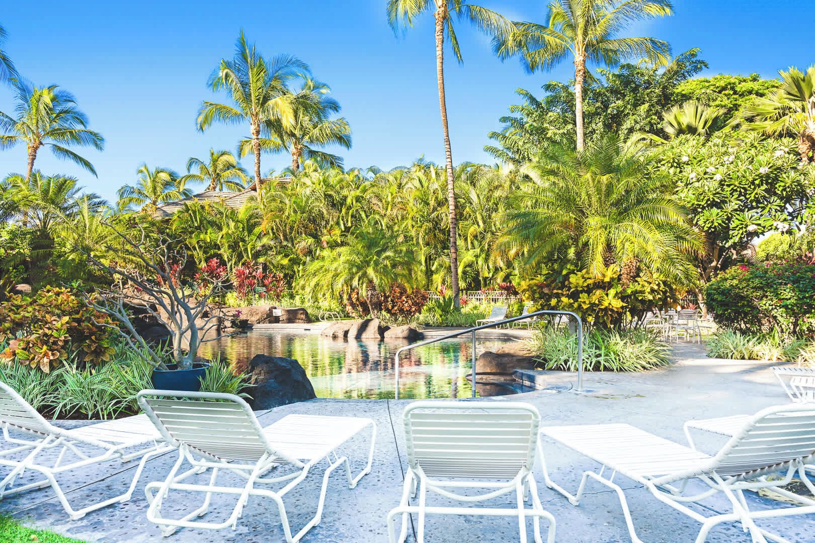 A pool area with lounge chairs, palm trees, and a clear blue sky.