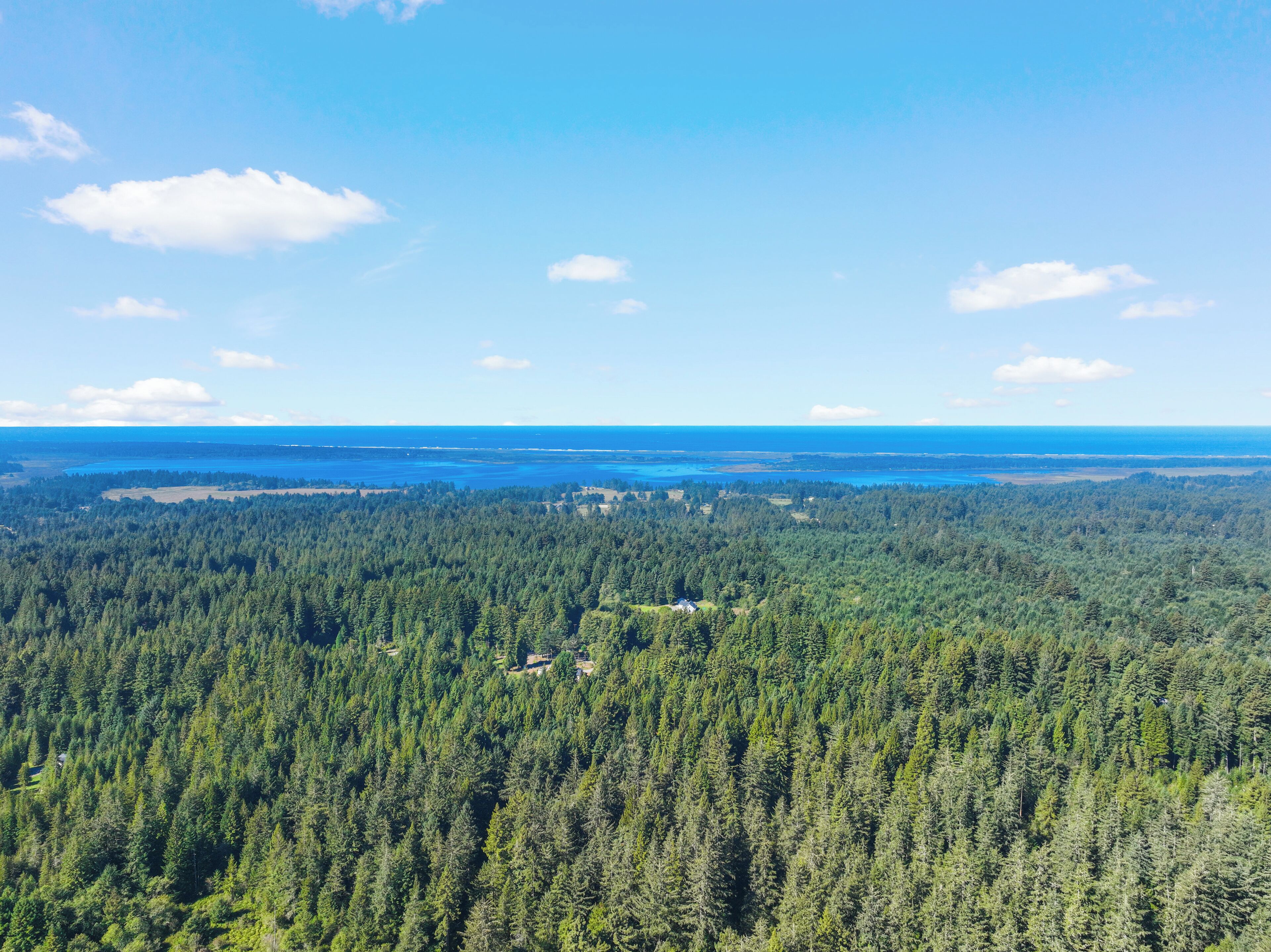 En tät skog med fri sikt över havet och en liten bebyggelse i fjärran.