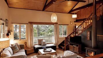 TV, fireplace, DVD player, table tennis