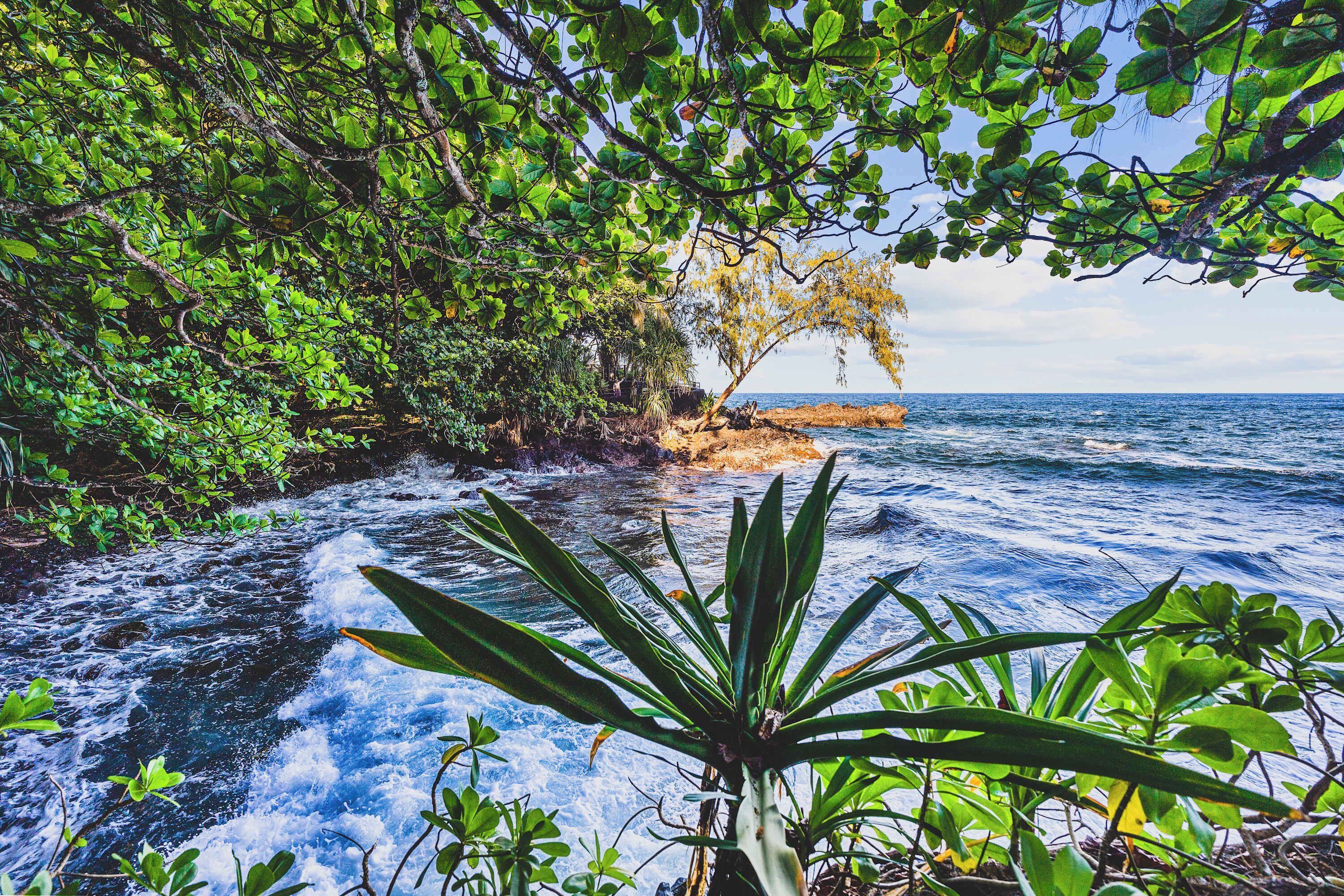 A natural landscape with a flowing river, dense foliage, and a view of the ocean.