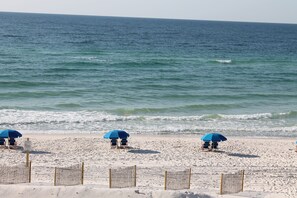 On the beach, sun-loungers