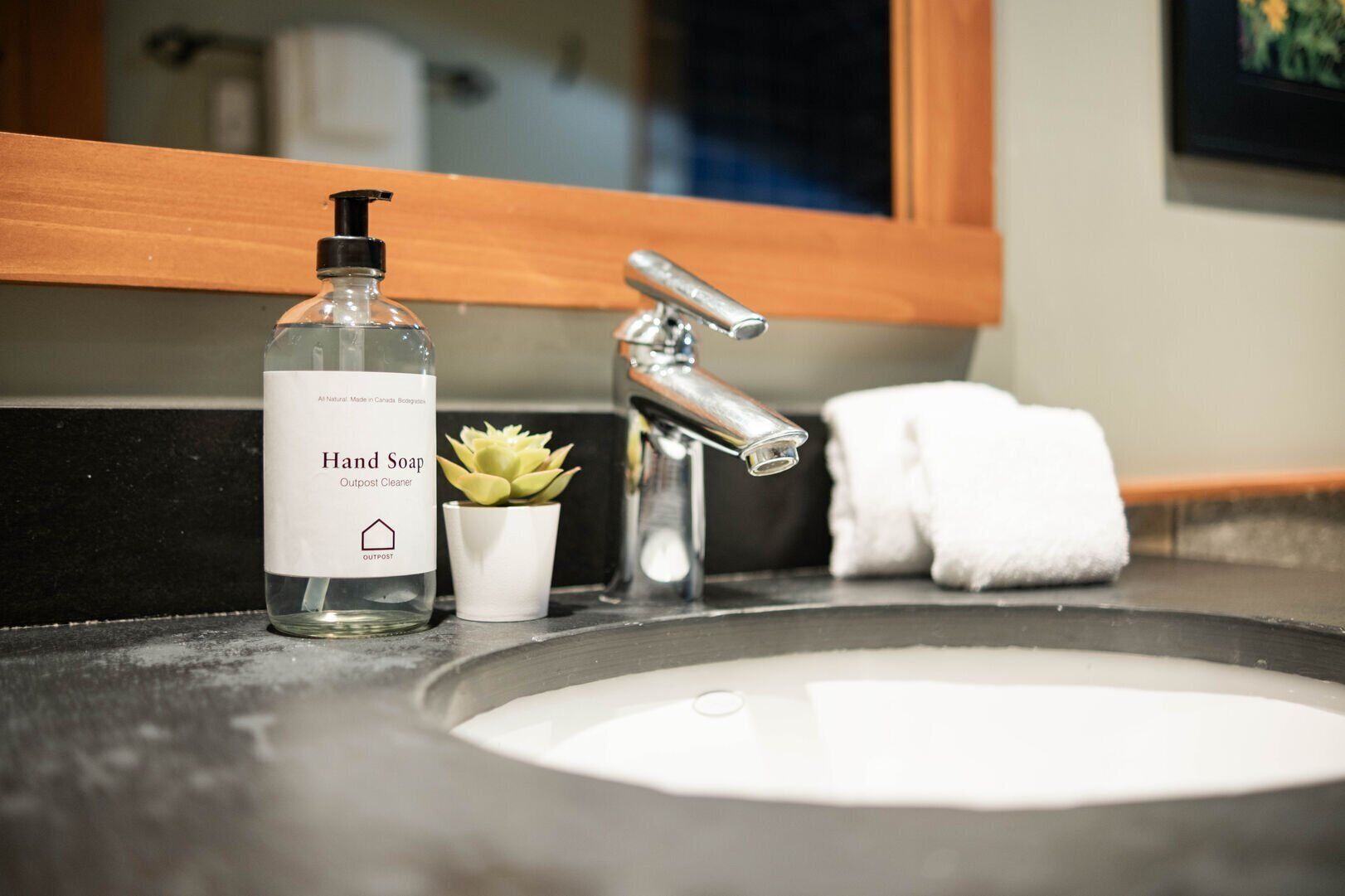 A bathroom sink with a hand soap dispenser, a small potted plant, and a white towel.