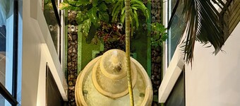 Luxury Casa De La Fuente + Private Pool + Pool Table + BBQ + Pet Friendly