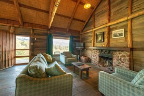 Smart TV, fireplace, books