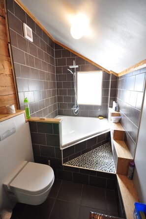 Ensemble douche/baignoire, sèche-cheveux, serviettes fournies, shampoing