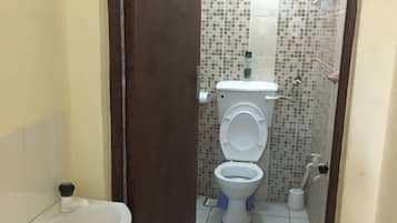 Shower, towels, soap, toilet paper