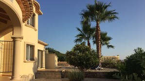A courtyard with a palm tree, a stone pathway, and a building with a tiled roof.