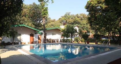 Corbett Paradiso by ILILA