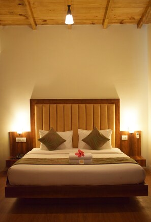 1 habitación, escritorio, tabla de planchar con plancha y camas extra 