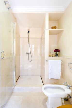 Shower, hair dryer, towels