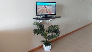 A hallway with a television on a stand, a potted plant, and a door at the end. - Villa E Apartment (Ponta do Sol)