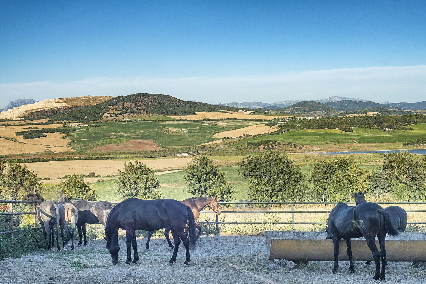 A stable with horses, surrounded by a fence, overlooking a scenic landscape with hills and a lake.