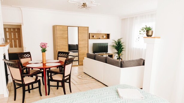 Una sala de estar moderna con un sofá, una mesa de comedor con sillas, un televisor y una planta en maceta.
