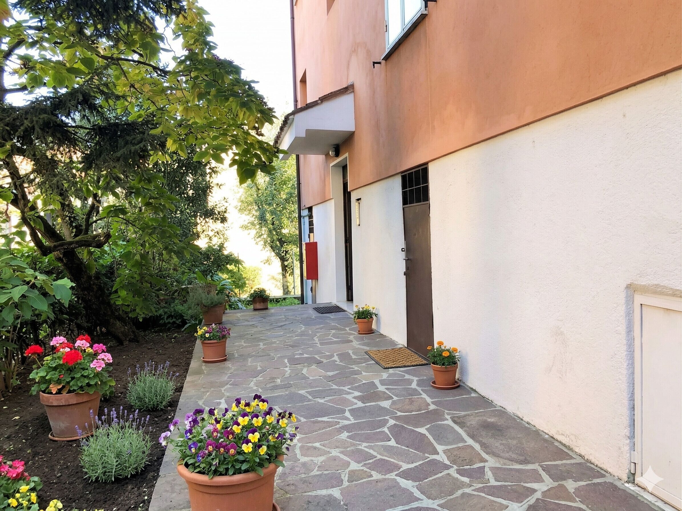 Ein mit Pflastersteinen belegter Weg führt zu einem Gebäude mit weißer Fassade und roter Tür. Entlang des Weges stehen Kübel mit Blumen.