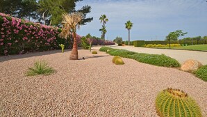 A landscaped garden with cacti, palm trees, and flowering shrubs. - Ses Nines - Charming country house with pool in Inca, Mallorca (Inca)
