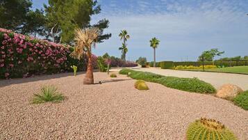 Terrein van de accommodatie