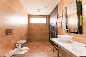 Bathtub, hair dryer, towels, toilet paper