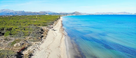 Playa