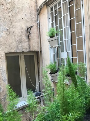 A building exterior with a window, a door, and multiple hanging planters with greenery.