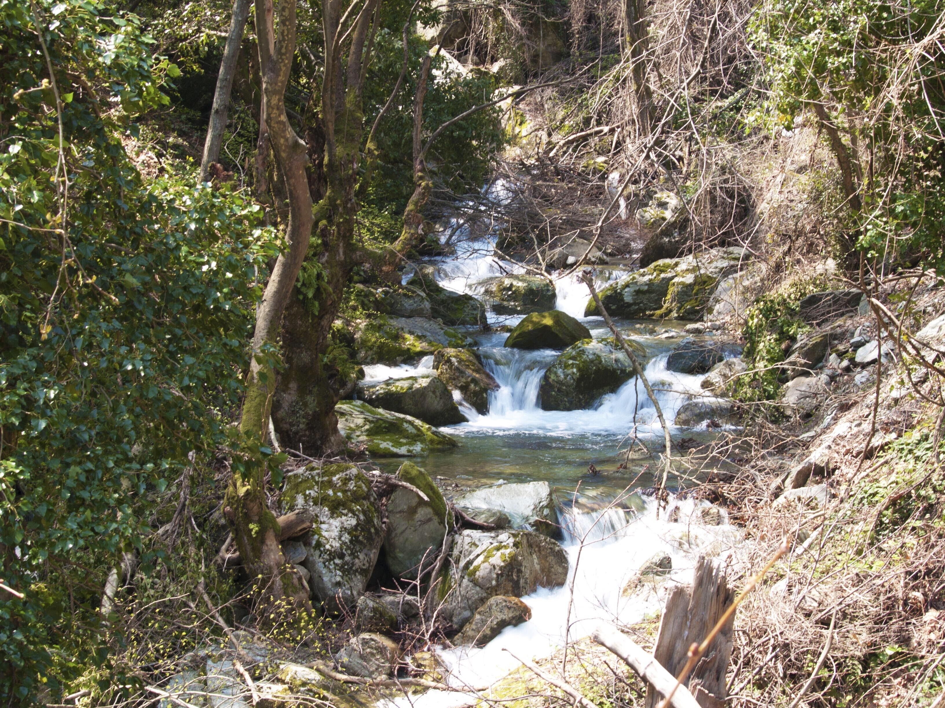A natural stream flowing through a forested area with rocks and trees.
