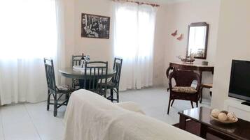 TV, DVD player, books, video library