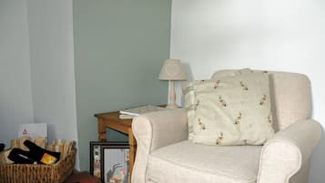 TV, fireplace, DVD player, books