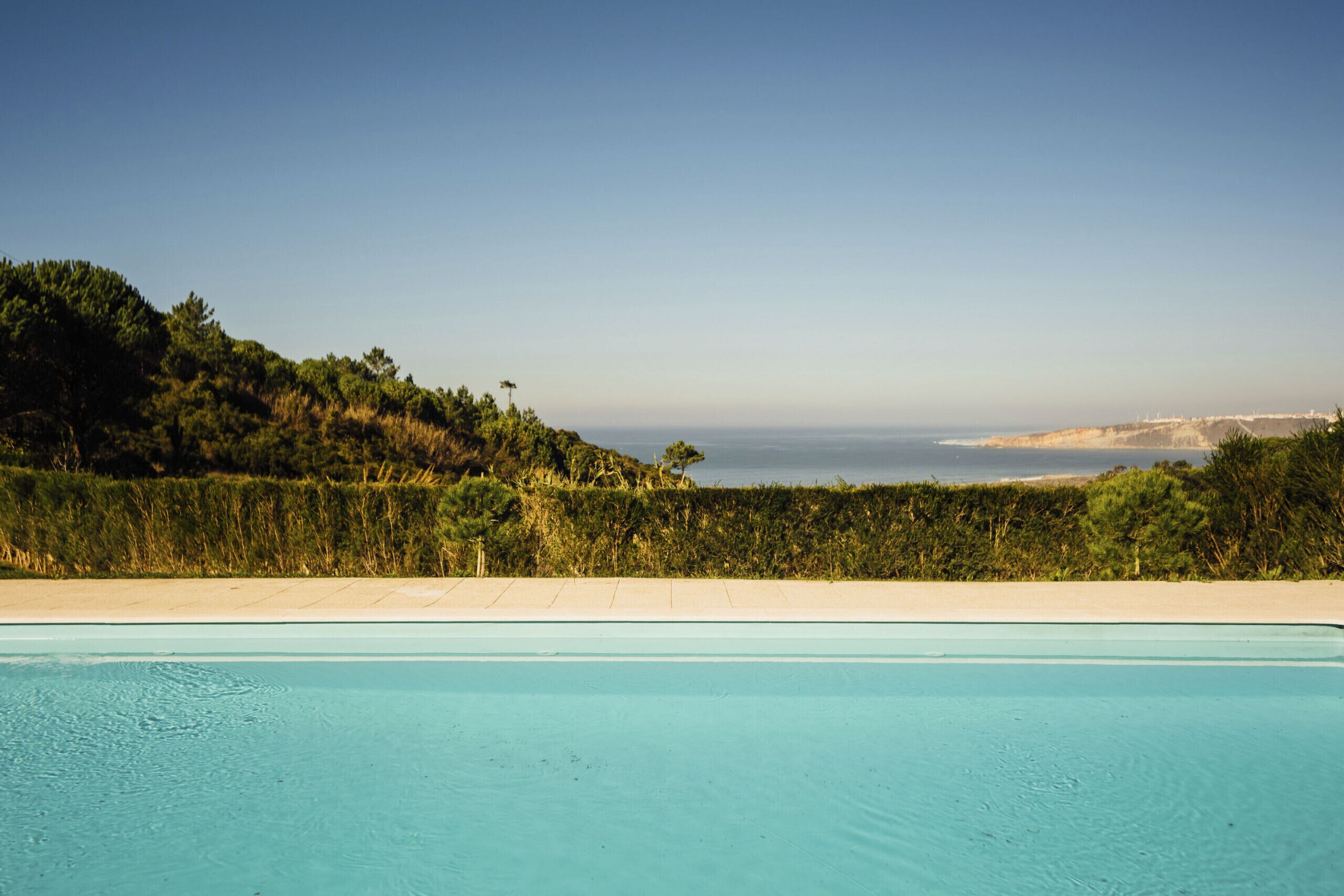 A swimming pool with a view of the sea and a landscaped area with trees and shrubs.