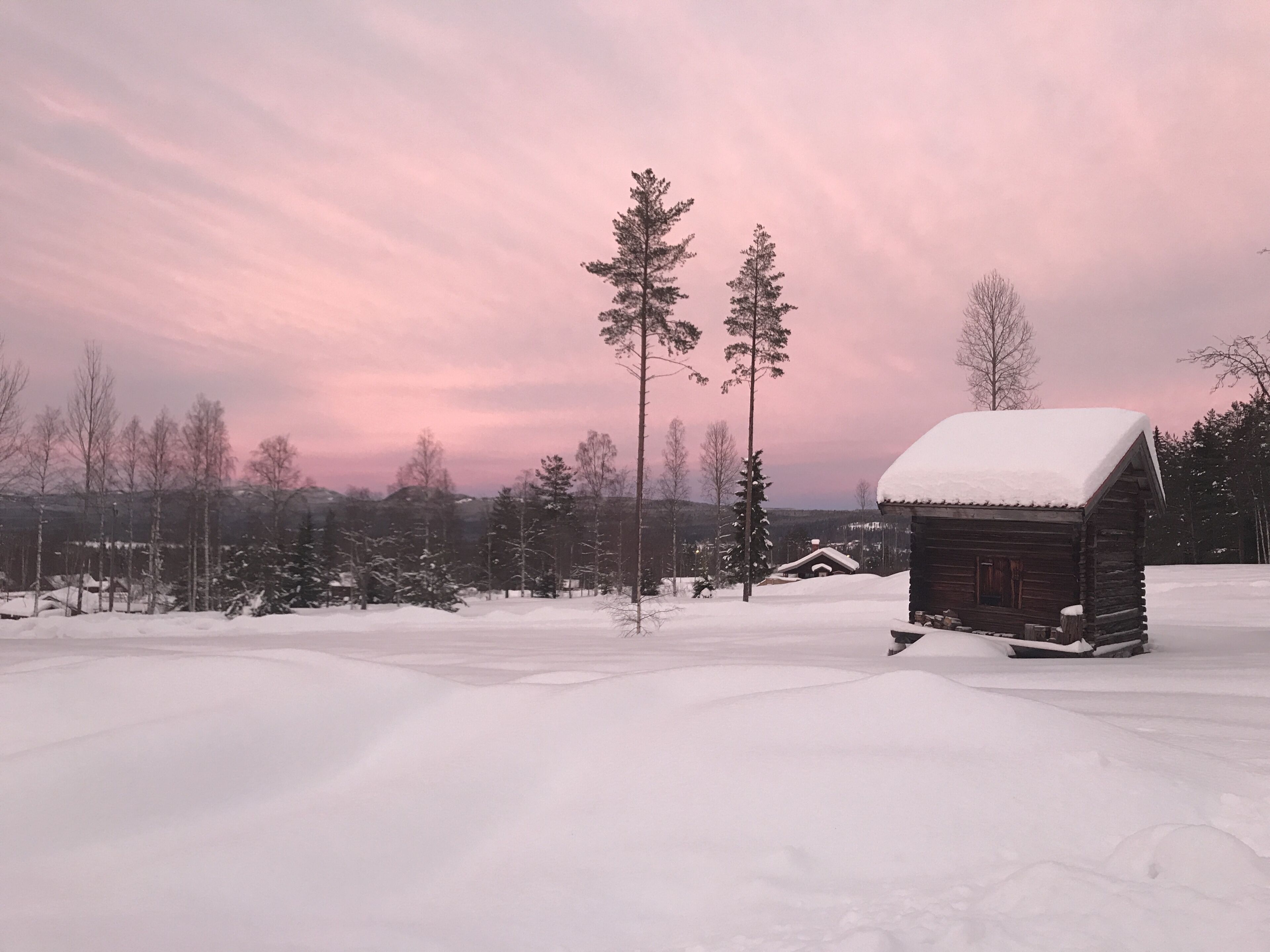 Udendørsområde