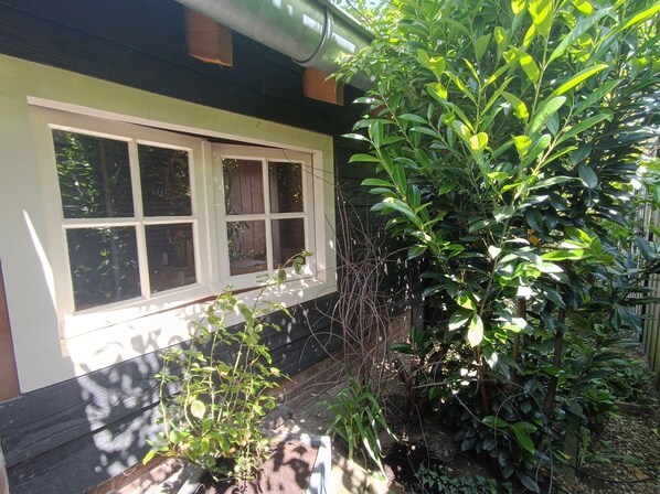 Une maison dotée d’une grande fenêtre et d’un jardin où poussent différentes espèces de plantes.