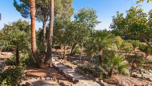Un jardin agrémenté de divers arbres, notamment des palmiers et des pins, et doté d’un sentier en pierre.