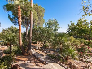 Property grounds - Can Marti - Wonderful villa with pool in a mountain area near Alcúdia (Alcúdia)