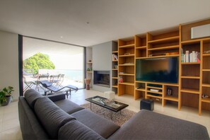 TV, fireplace, DVD player, books