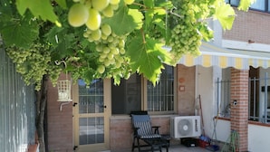 Un patio con una mesa, una silla y una parra colgante.