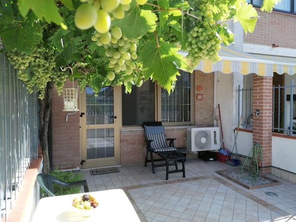 Un patio con una mesa, una silla y una parra colgante.